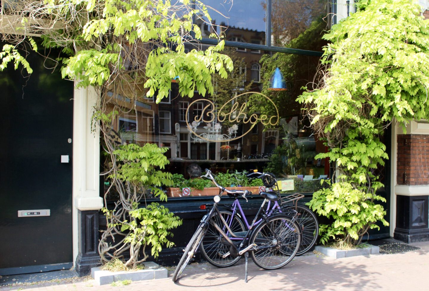 Hotspot | De Bolhoed – Amsterdam