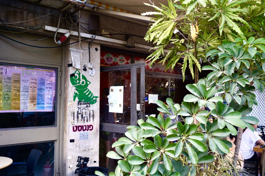 The Green Cat - vegan hotspots tel aviv