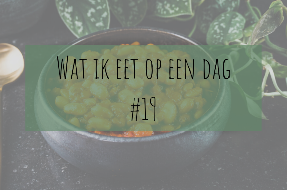 Vegan | Wat ik eet op een dag #19