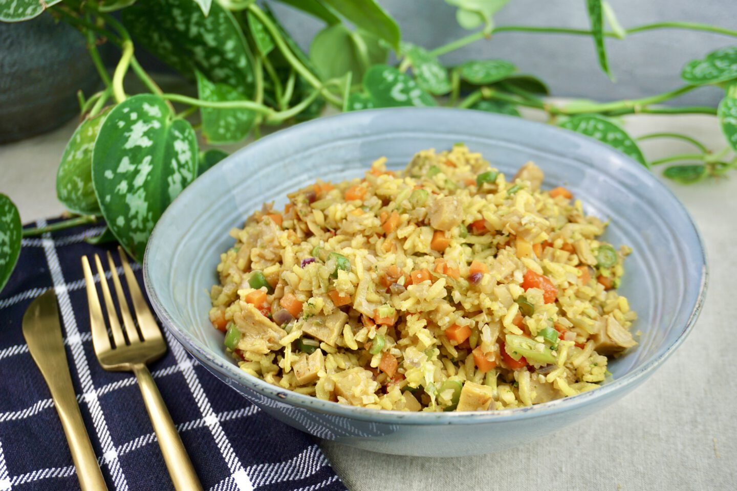 Vegan nasi goreng