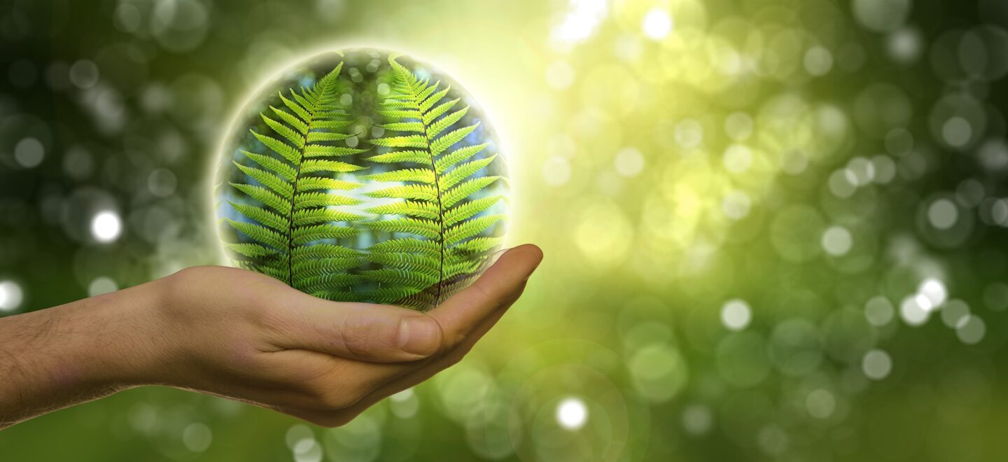 Is duurzame energie nog betaalbaar?